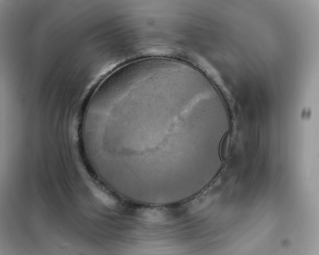 X0000102020106200808011433
