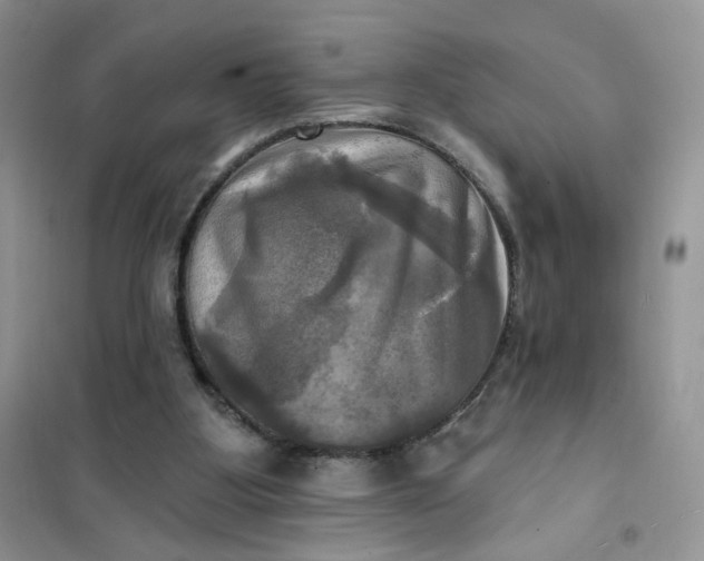 X0000102020107200808011433
