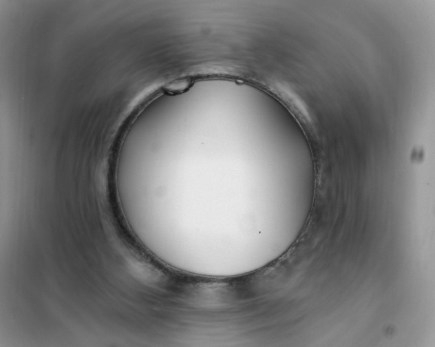 X0000102020108200808011433