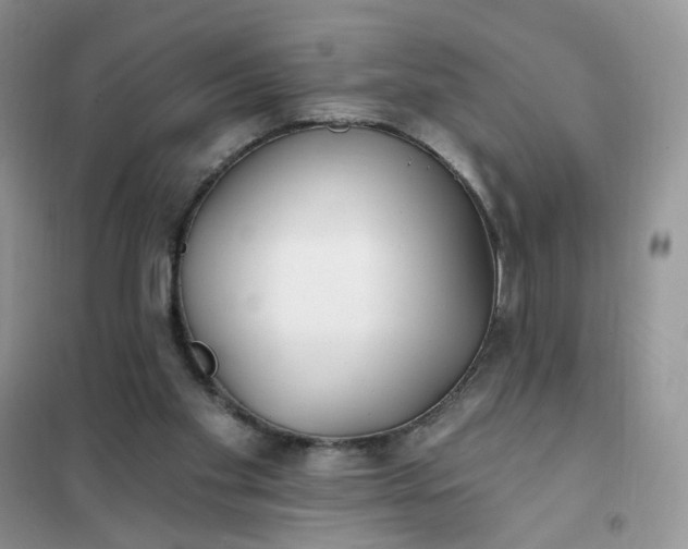 X0000102020109200808011433