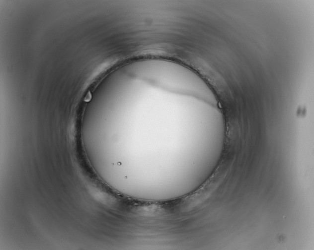 X0000102020112200808011433