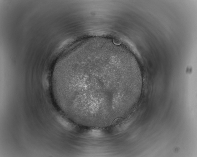 X0000102020114200808011433