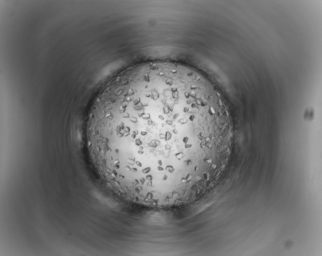 X0000102020115200808011433