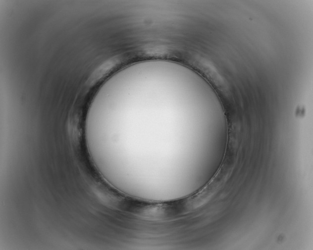 X0000102020116200808011433