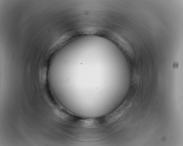 X0000102020118200808011433