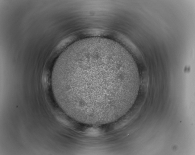 X0000102020119200808011433