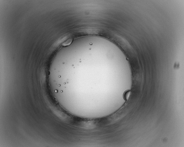 X0000102020120200808011433