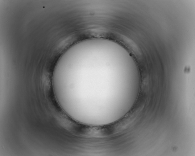 X0000102020121200808011433