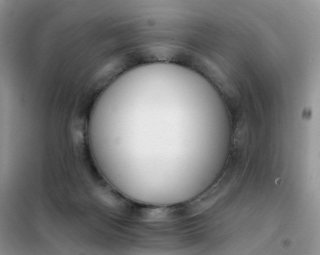 X0000102020122200808011433