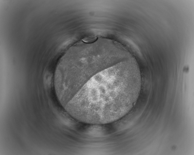 X0000102020123200808011433