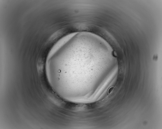 X0000102020124200808011433