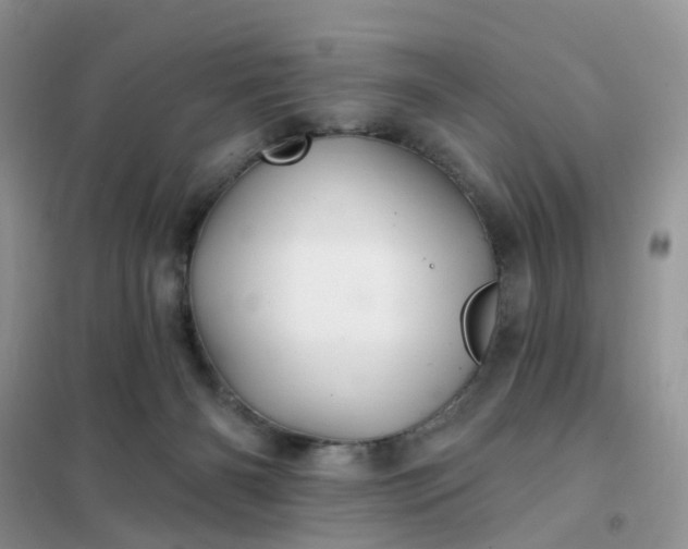 X0000102020126200808011433