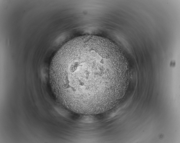 X0000102020127200808011433