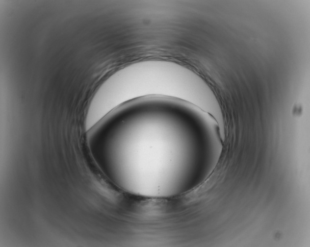 X0000102020128200808011433