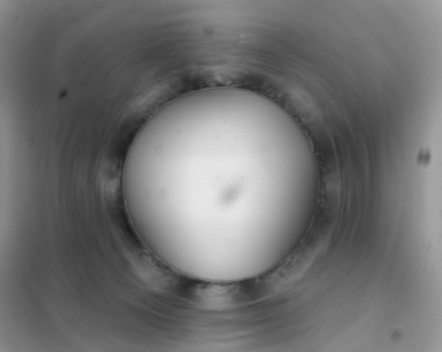 X0000102020129200808011433