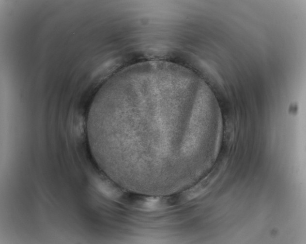 X0000102020130200808011433