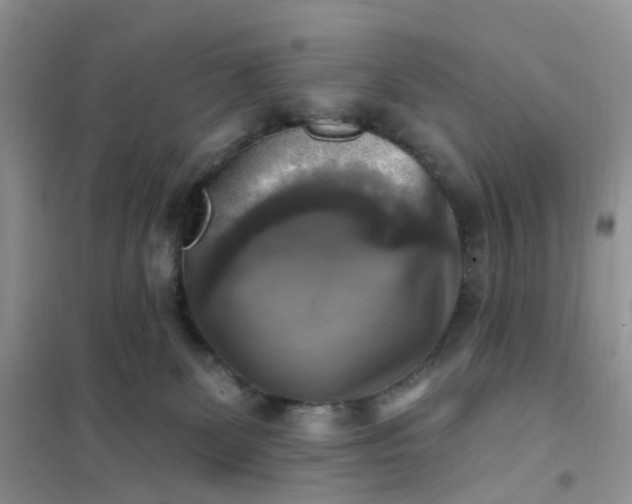 X0000102020131200808011433