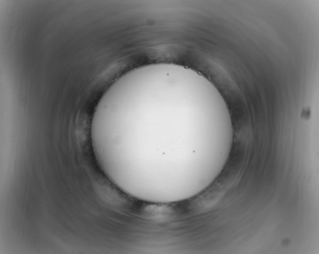 X0000102020133200808011433