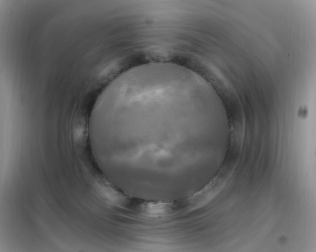 X0000102020134200808011433