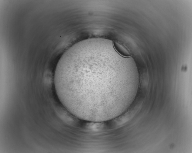 X0000102020135200808011433