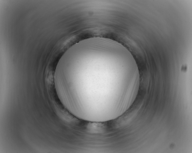 X0000102020137200808011433