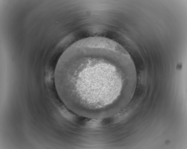 X0000102020138200808011433