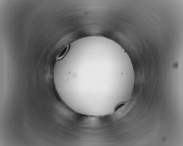 X0000102020140200808011433