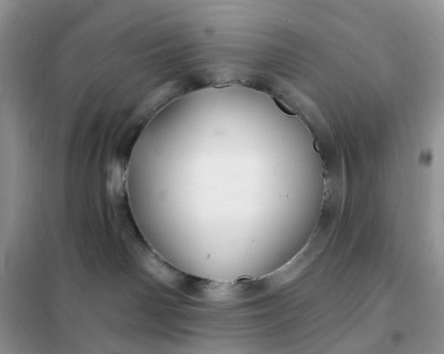 X0000102020142200808011432