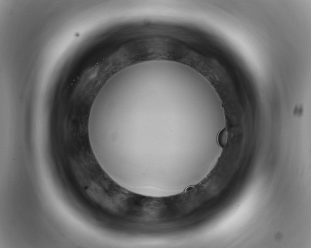 X0000102020143200808011432