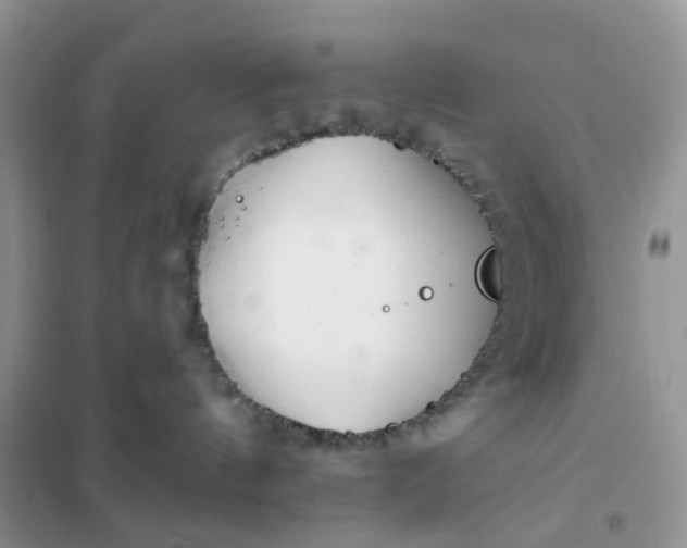 X0000102020144200808011432