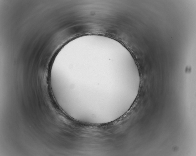 X0000102020146200808011432