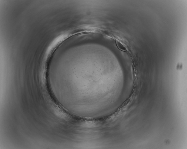X0000102020149200808011432