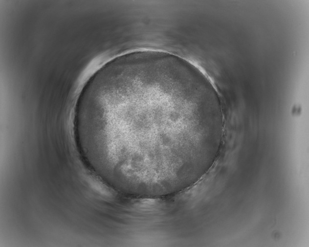 X0000102020151200808011432