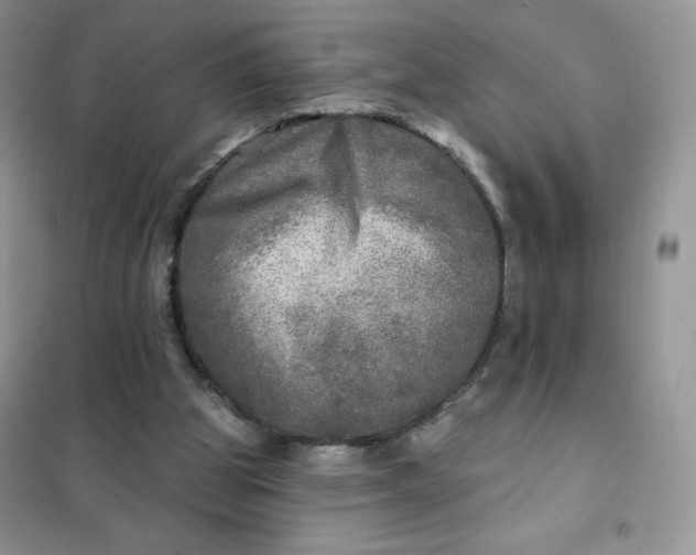 X0000102020153200808011432
