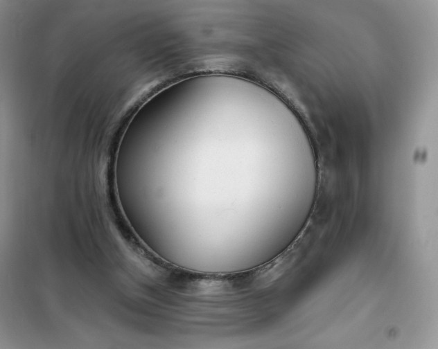 X0000102020154200808011432