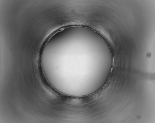 X0000102020156200808011432