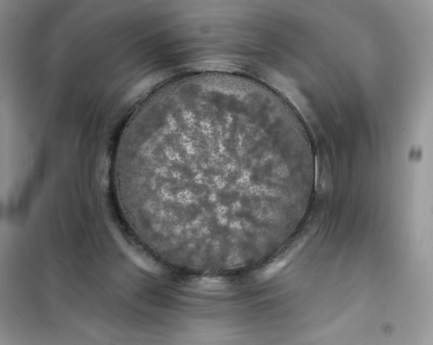 X0000102020157200808011432