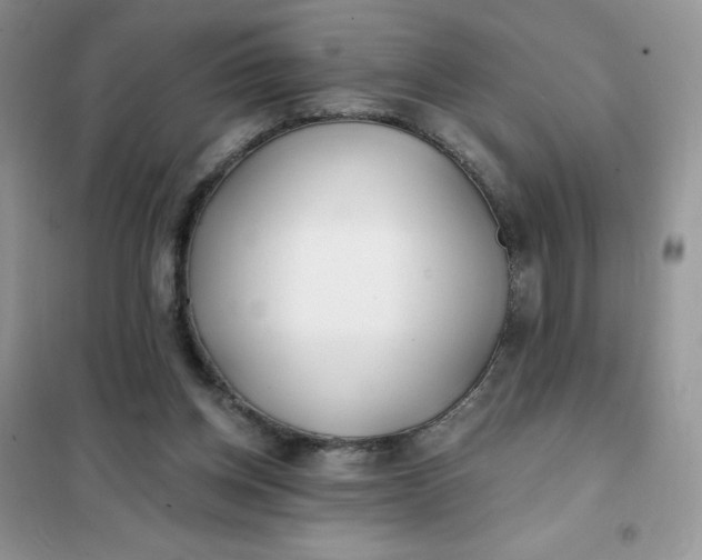 X0000102020158200808011432