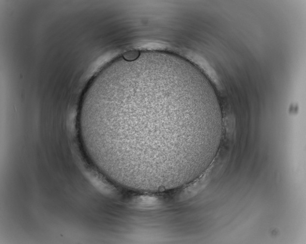 X0000102020159200808011432