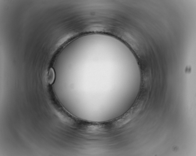 X0000102020160200808011432