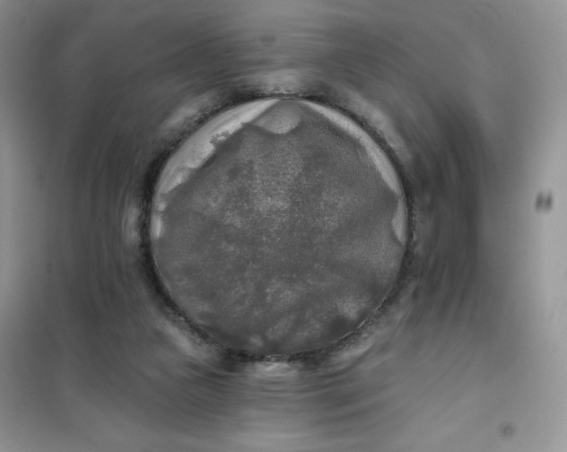X0000102020161200808011432