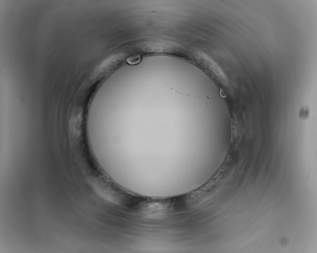 X0000102020163200808011432