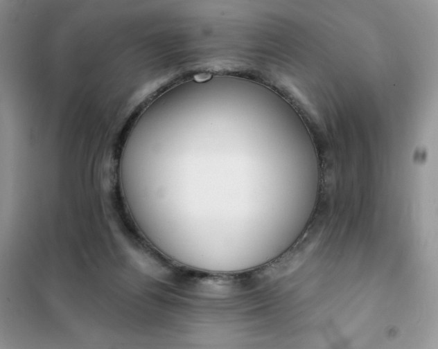 X0000102020164200808011432