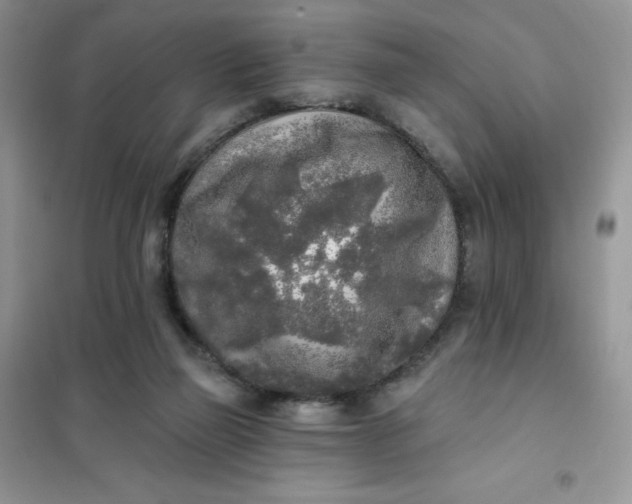 X0000102020165200808011432
