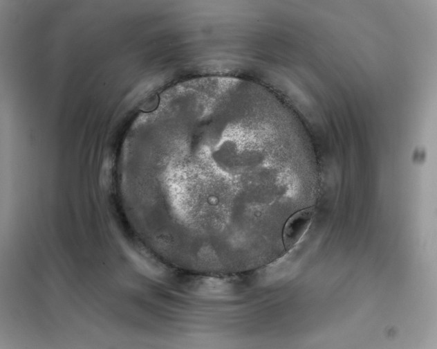 X0000102020166200808011432