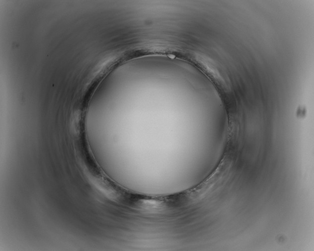 X0000102020167200808011432