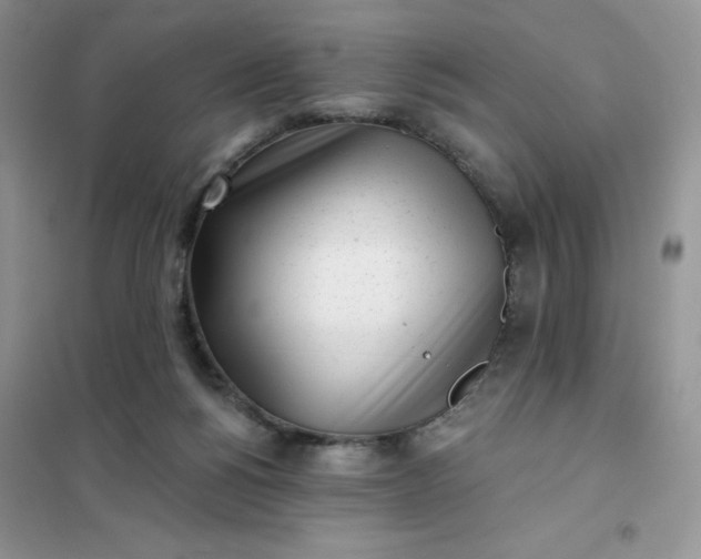 X0000102020168200808011432