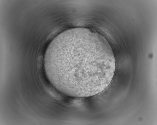 X0000102020171200808011432
