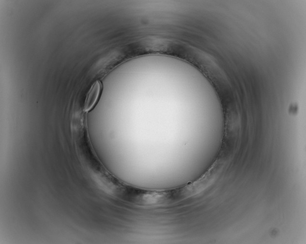 X0000102020172200808011432