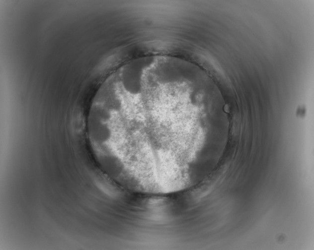 X0000102020173200808011432